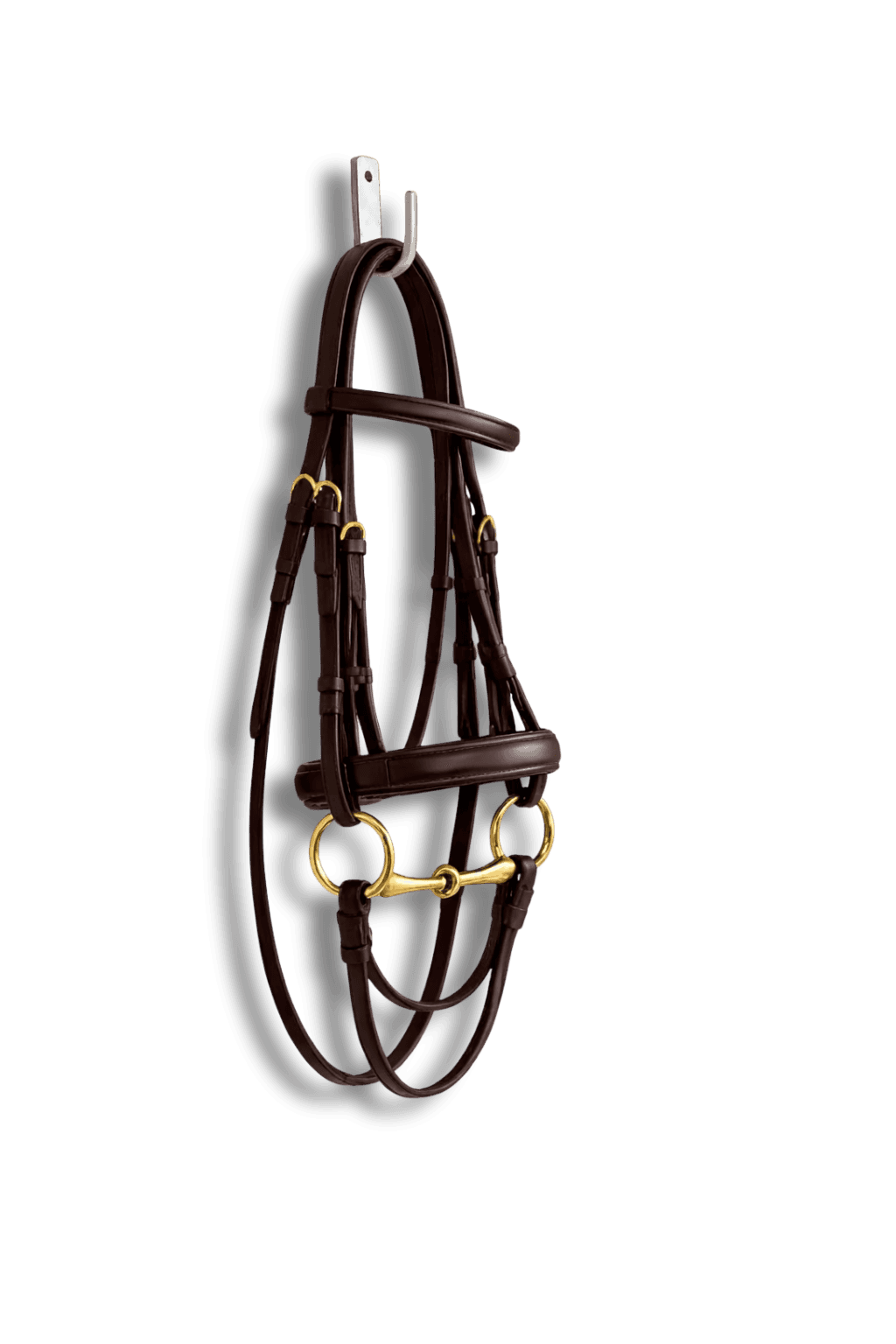 bridle